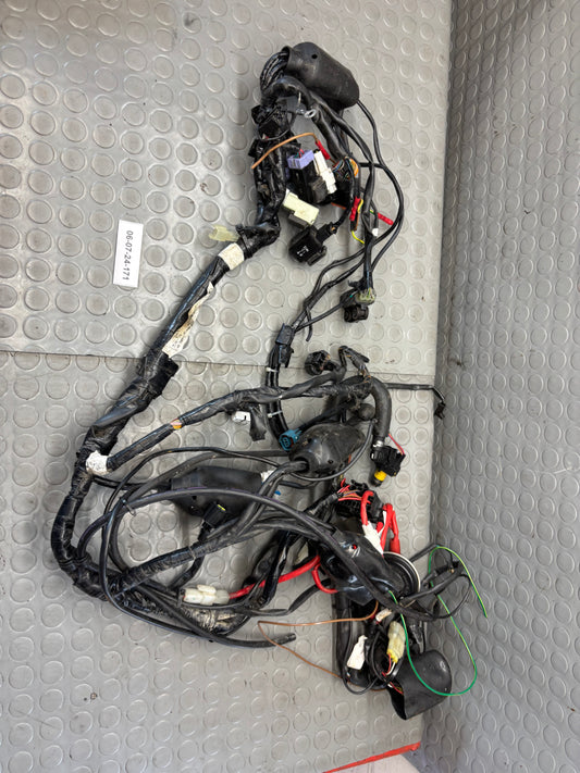 CABLAGGIO IMPIANTO ELETTRICO YAMAHA WR 125 X 2008-2017